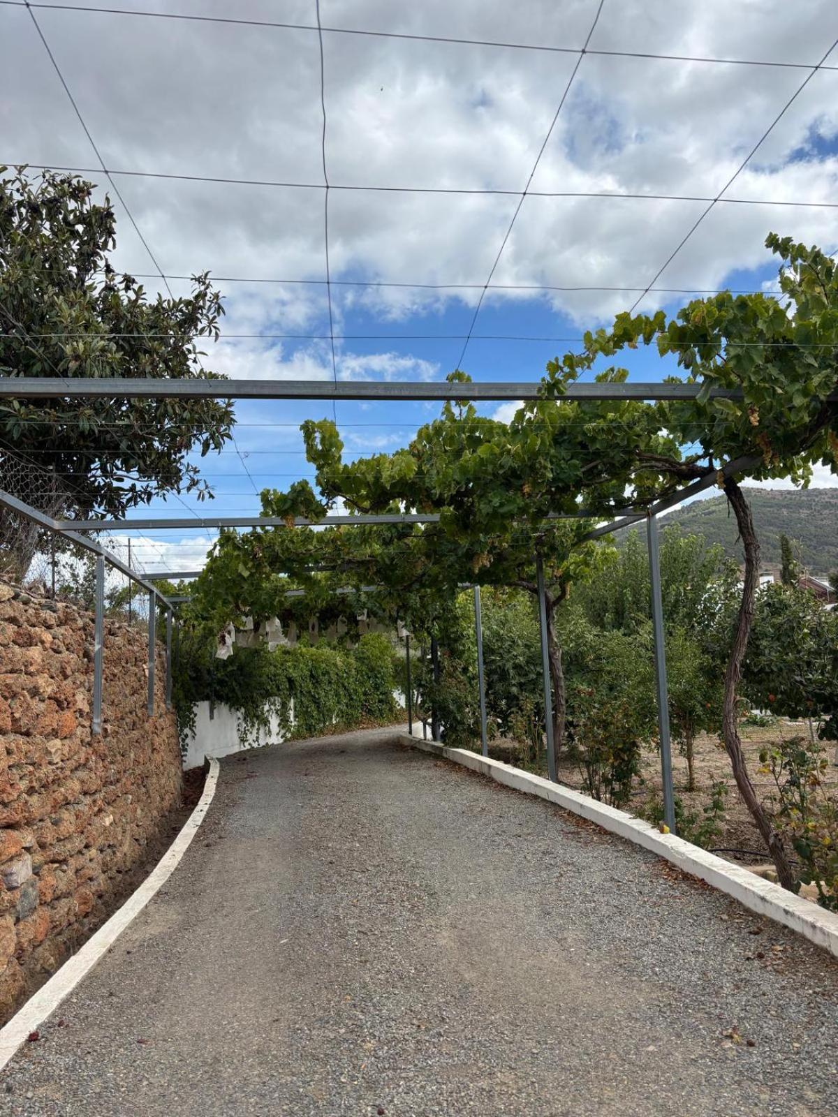 El Domingo En El Valle Fondón Eksteriør bilde